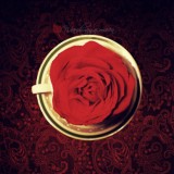 红玫瑰 (10)