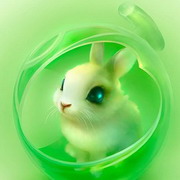 关于兔子主题头像_可爱的兔子专署头像