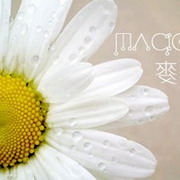 可爱笑脸小菊花www.99fzl.cn